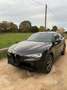 Alfa Romeo Stelvio rdw Autocarro - thumbnail 1