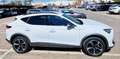 CUPRA Formentor Formentor 2.0 TDI 150 DSG 4Drive Blanco - thumbnail 4