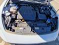 CUPRA Formentor Formentor 2.0 TDI 150 DSG 4Drive Blanco - thumbnail 15