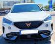 CUPRA Formentor Formentor 2.0 TDI 150 DSG 4Drive Blanco - thumbnail 6