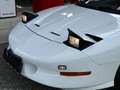 Pontiac Firebird Firebird Trans-Am 5,7l V8 Aut. Targa Weiß - thumbnail 11