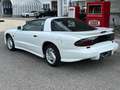 Pontiac Firebird Firebird Trans-Am 5,7l V8 Aut. Targa Weiß - thumbnail 7