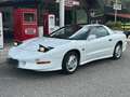 Pontiac Firebird Firebird Trans-Am 5,7l V8 Aut. Targa Weiß - thumbnail 10