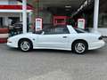 Pontiac Firebird Firebird Trans-Am 5,7l V8 Aut. Targa Weiß - thumbnail 9