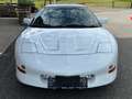 Pontiac Firebird Firebird Trans-Am 5,7l V8 Aut. Targa Weiß - thumbnail 3
