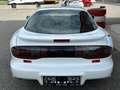 Pontiac Firebird Firebird Trans-Am 5,7l V8 Aut. Targa Weiß - thumbnail 6