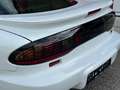 Pontiac Firebird Firebird Trans-Am 5,7l V8 Aut. Targa Weiß - thumbnail 13