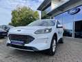 Ford Kuga 1.5 EcoBoost TITANIUM Blanc - thumbnail 9