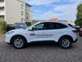 Ford Kuga 1.5 EcoBoost TITANIUM Blanc - thumbnail 8