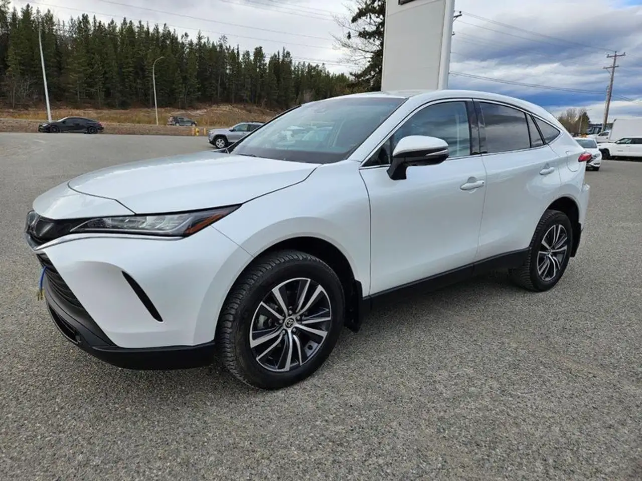 2024 Toyota Venza