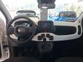 Fiat Panda Panda 1.0 FireFly S&S Hybrid Pandina Weiß - thumbnail 14