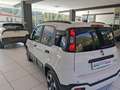 Fiat Panda Panda 1.0 FireFly S&S Hybrid Pandina Weiß - thumbnail 10