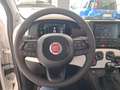 Fiat Panda Panda 1.0 FireFly S&S Hybrid Pandina Weiß - thumbnail 16