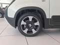 Fiat Panda Panda 1.0 FireFly S&S Hybrid Pandina Weiß - thumbnail 12
