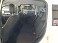 Fiat Panda Panda 1.0 FireFly S&S Hybrid Pandina Weiß - thumbnail 15