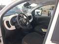 Fiat Panda Panda 1.0 FireFly S&S Hybrid Pandina Weiß - thumbnail 13