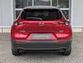 Mazda CX-30 2.5 G-140 6AT HOMURA *HeadUp*ACC*Kamera* Rojo - thumbnail 5