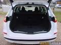 Ford Mondeo TUR. TITA. AUT,LED,NAVI,KAM,DAB,SHZ,PARK-ASS,1.HD! Weiß - thumbnail 25