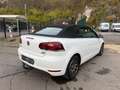 Volkswagen Golf Cabriolet Golf Cabriolet 1.6 CR TDi Karmann Wit - thumbnail 4