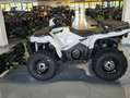 Polaris Sportsman 570 EPS 4x4 WINTERDIENST  SALZSTREUER! Weiß - thumbnail 15