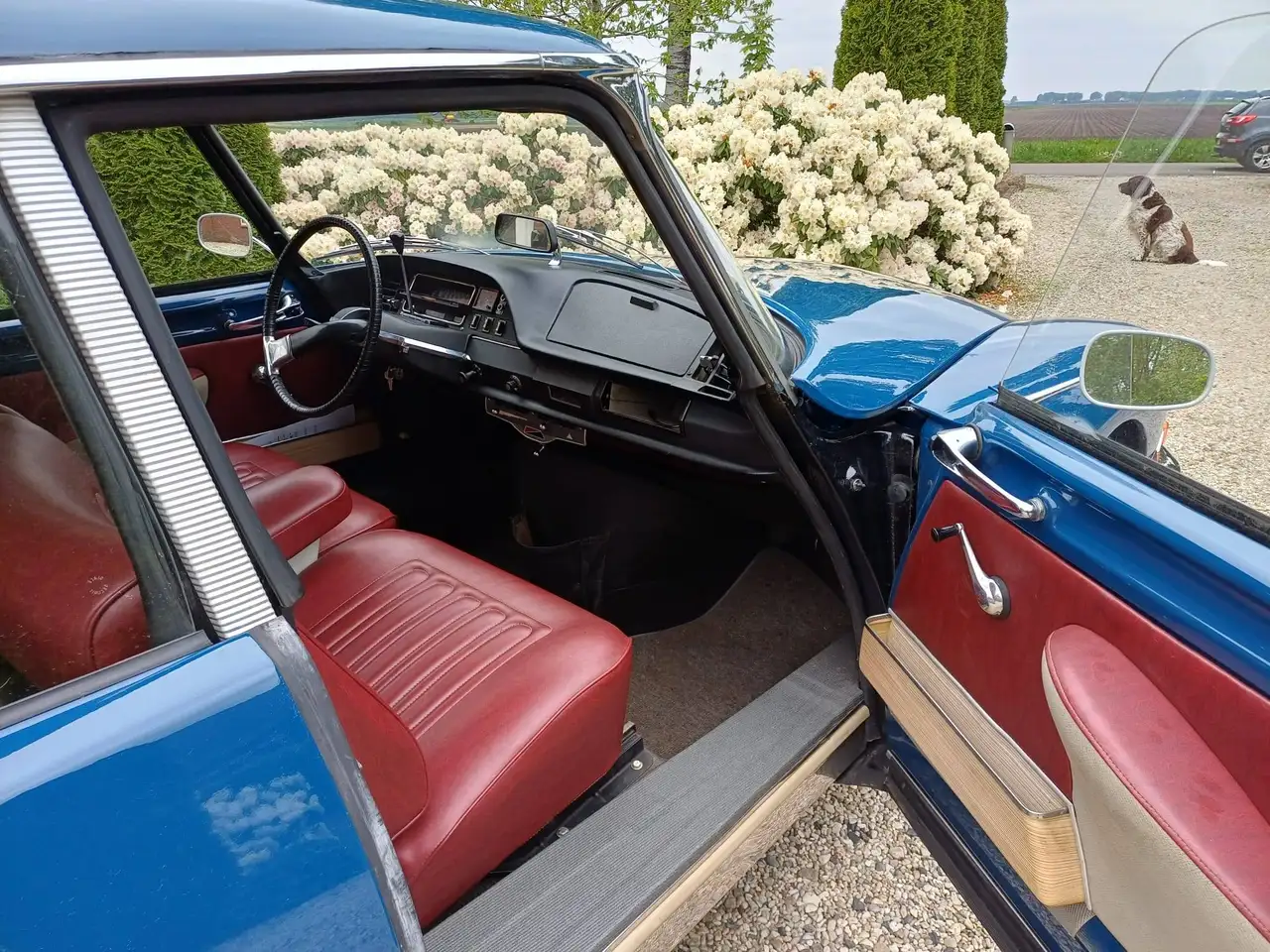 Citroen DS 20 confort, lees tekst prijzen v.a € 14.500, foto 8