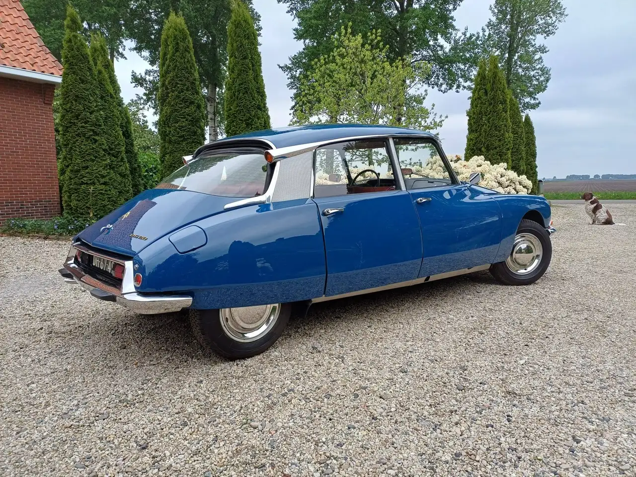 Citroen DS 20 confort, lees tekst prijzen v.a € 14.500, foto 4