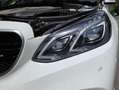 Mercedes-Benz E 350 E 350 BlueTEC T Avantgarde Aut. Avantgarde Weiß - thumbnail 4