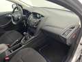 Ford Focus EcoBoost Trend *SHZ*PDC*KLIMA* Plateado - thumbnail 12