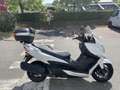 Suzuki - thumbnail 3