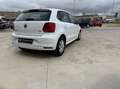 Volkswagen Polo 1.4 tdi Trendline 75cv 5p Weiß - thumbnail 6