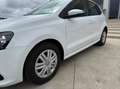 Volkswagen Polo 1.4 tdi Trendline 75cv 5p Weiß - thumbnail 9