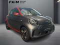 smart forFour / passion Pano|Pano|SHD|Kam|Sound Gris - thumbnail 5
