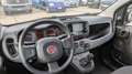 Fiat Panda HYBRID FIREFLY CITY LIFE 1.0cc 70cv Weiß - thumbnail 6