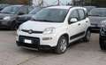 Fiat Panda HYBRID FIREFLY CITY LIFE 1.0cc 70cv Weiß - thumbnail 2
