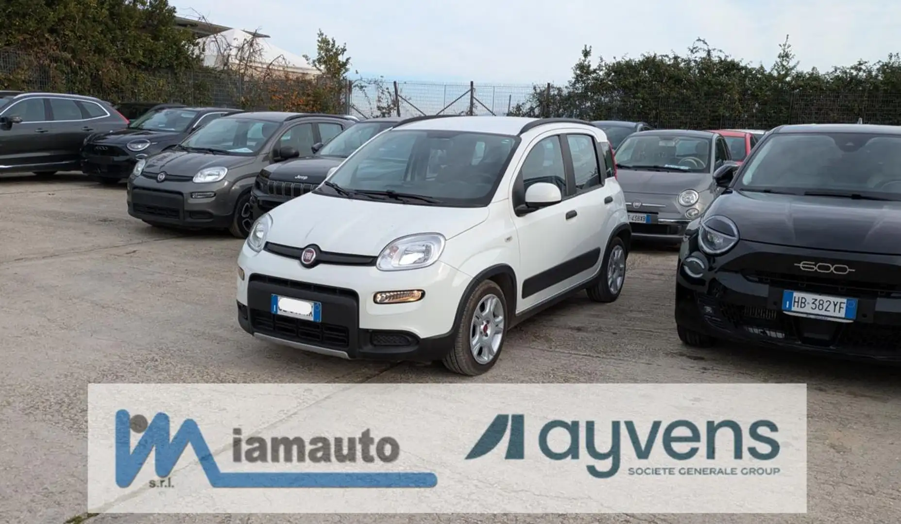 Fiat Panda HYBRID FIREFLY CITY LIFE 1.0cc 70cv Weiß - 1