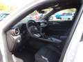 Alfa Romeo Tonale Ti 1.5 VGT (160 PS) Weiß - thumbnail 9