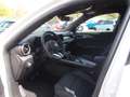 Alfa Romeo Tonale Ti 1.5 VGT (160 PS) Weiß - thumbnail 9