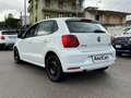 Volkswagen Polo 1.4 TDI Comfortline 66kW BlueMotionTech. Blanc - thumbnail 14