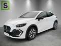 Renault Clio CLIO Evolution TCe 115 Weiß - thumbnail 1