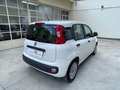 Fiat Panda Panda III 2012 1.2 Easy 69cv E6 Bianco - thumbnail 7