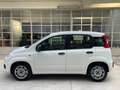 Fiat Panda Panda III 2012 1.2 Easy 69cv E6 Bianco - thumbnail 5