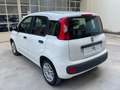 Fiat Panda Panda III 2012 1.2 Easy 69cv E6 Bianco - thumbnail 9