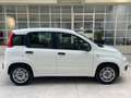 Fiat Panda Panda III 2012 1.2 Easy 69cv E6 Bianco - thumbnail 6
