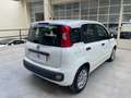Fiat Panda Panda III 2012 1.2 Easy 69cv E6 Bianco - thumbnail 10