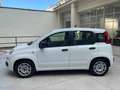 Fiat Panda Panda III 2012 1.2 Easy 69cv E6 Bianco - thumbnail 3