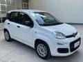 Fiat Panda Panda III 2012 1.2 Easy 69cv E6 Bianco - thumbnail 4