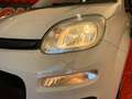 Fiat Panda Panda 0.9 t.air t. natural power Easy 80cv Beige - thumbnail 11