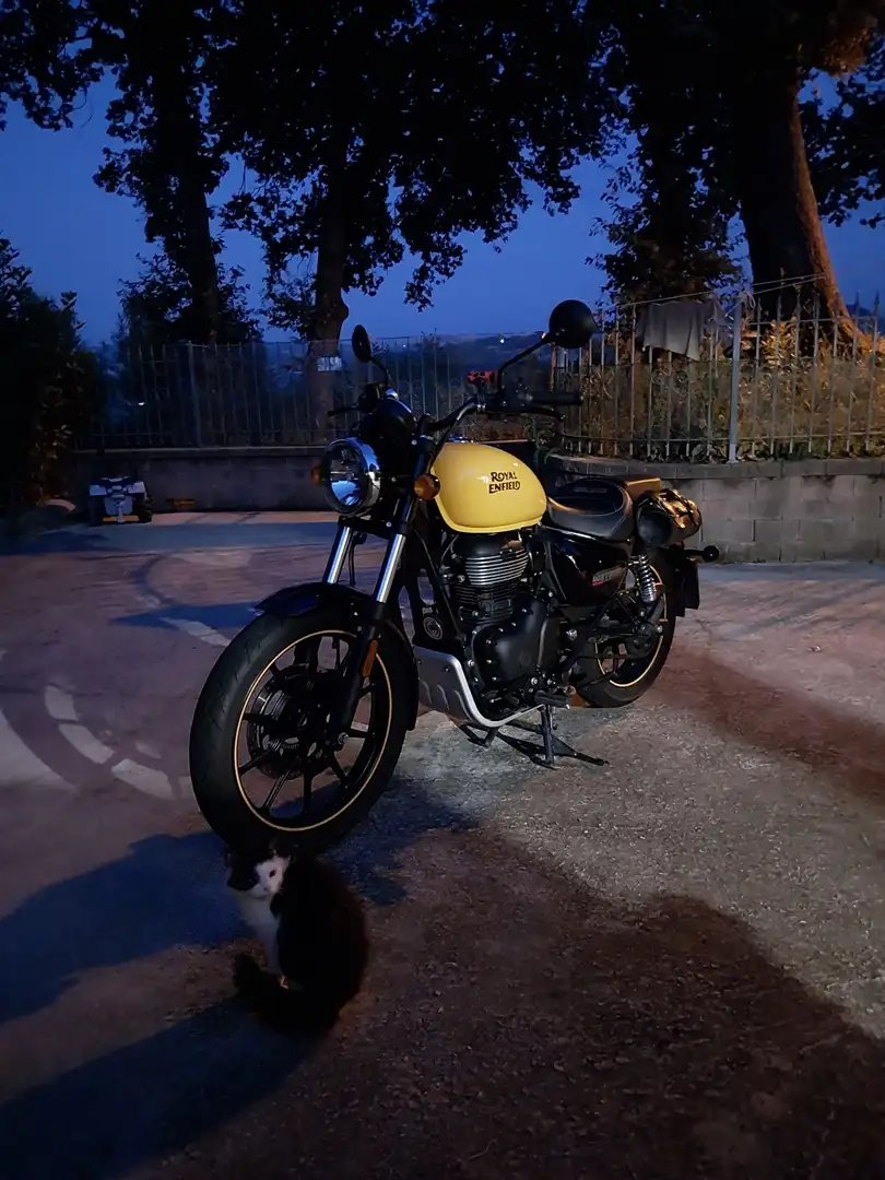 Royal Enfield Meteor 350 firebol Giallo - 1