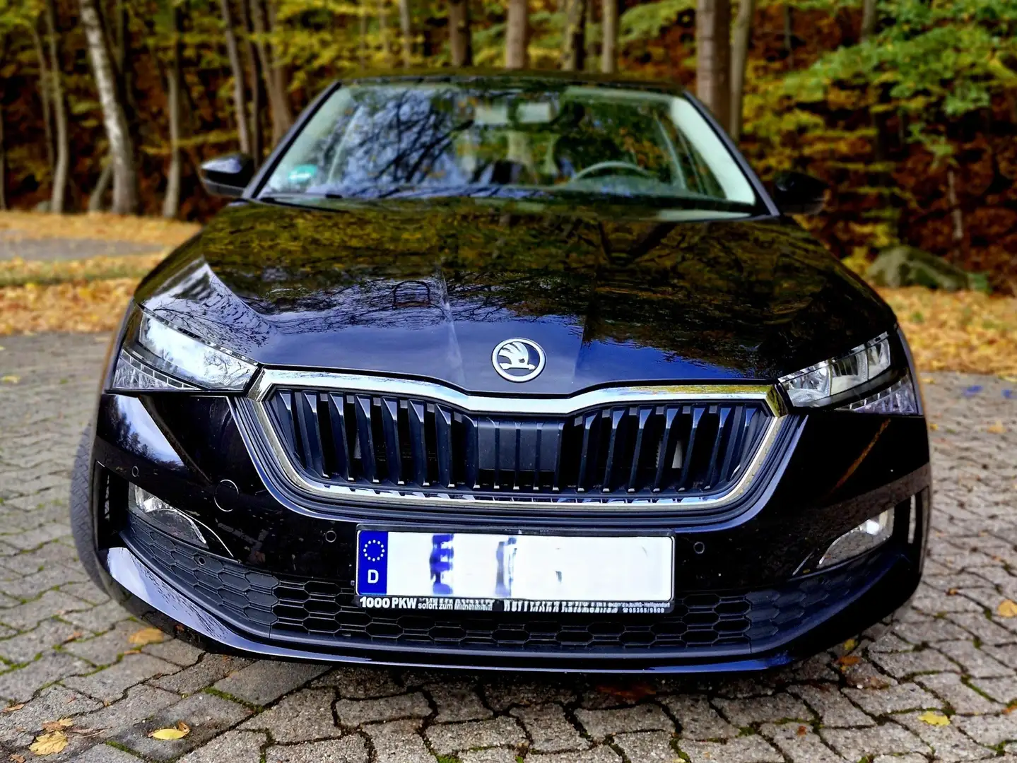 Skoda Scala Scala 1.0 TSI Ambition Schwarz - 2