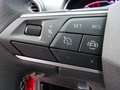SEAT Ibiza IBIZA STYLE EDITION 1.0 TSI SITZHEIZ. EINPARKH. Rojo - thumbnail 21